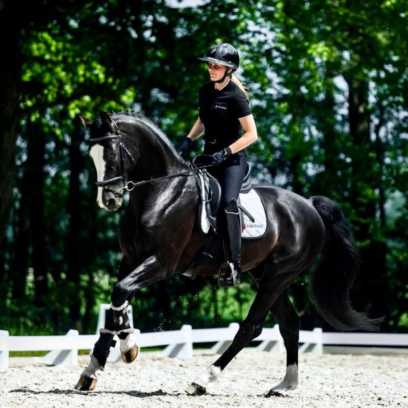 WhatsApp Image 2026-03-12 at 17.49.31 (11)