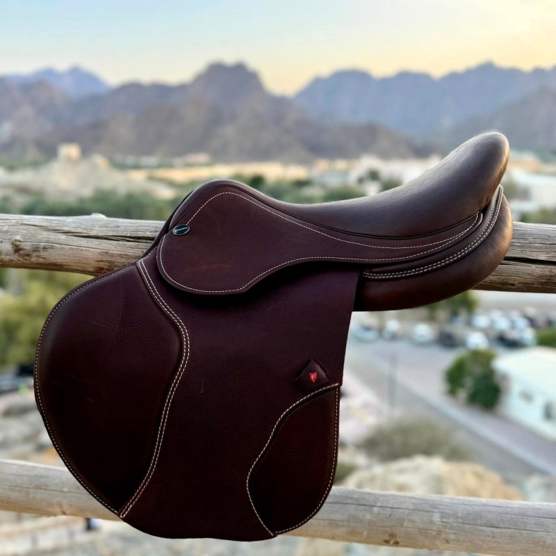 WhatsApp Image 2026-03-12 at 17.49.31 (2)